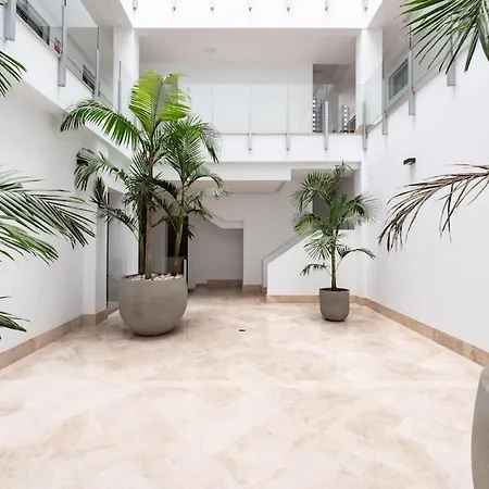 Apartment Premium Flat In Center With Free Parking